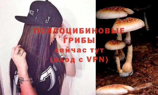 прущие крисы Армянск